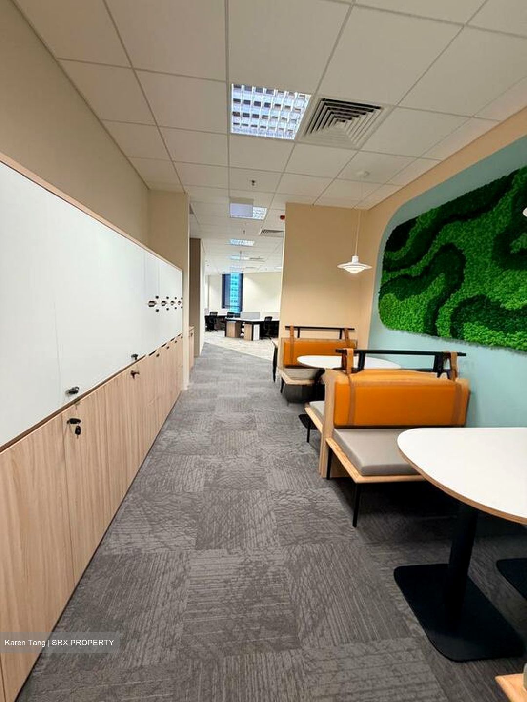 PLUS (D1), Office #502813561